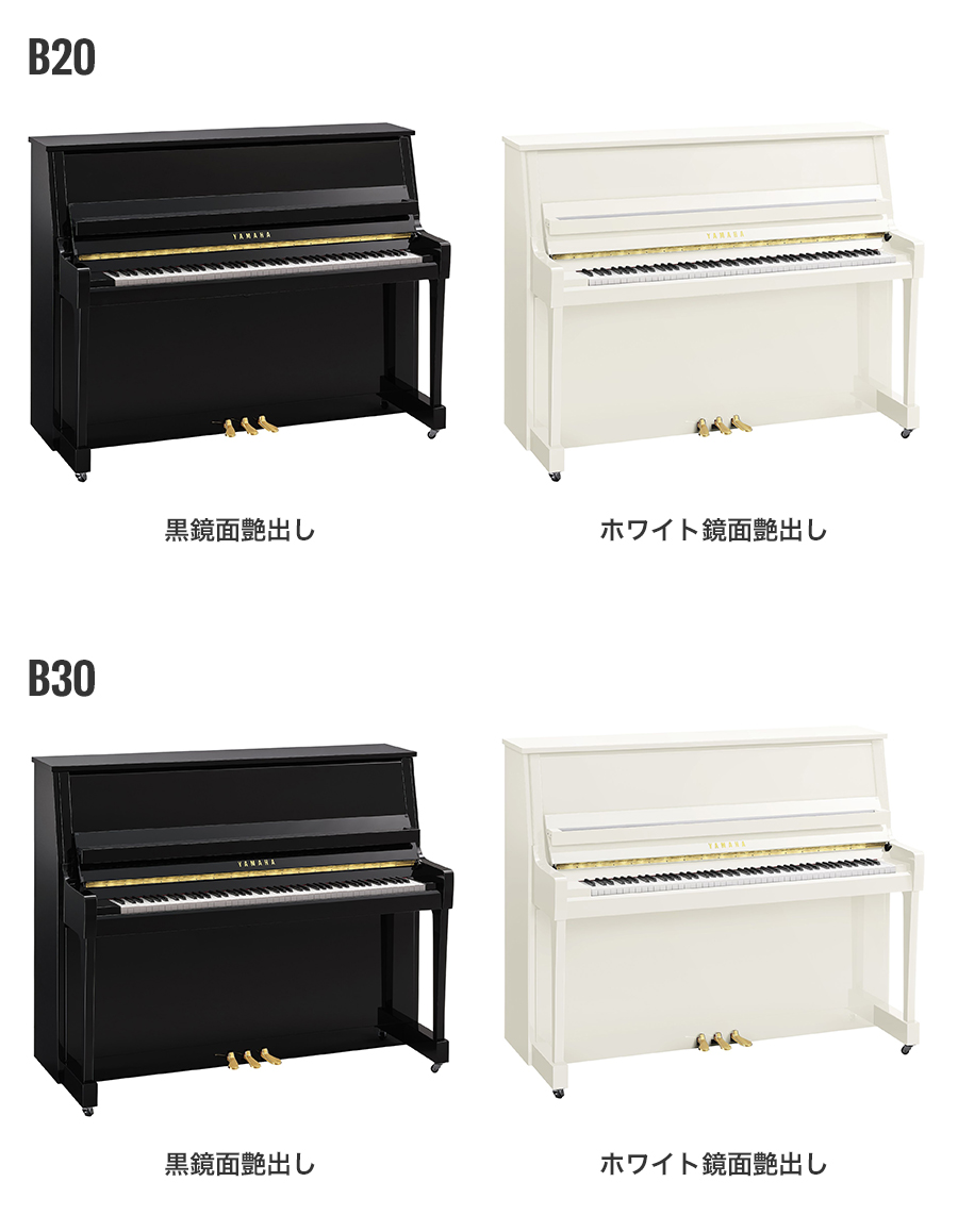 B20、B30カラーバリエーション