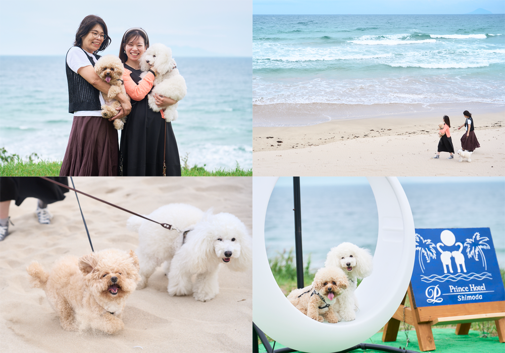 shimoda_lovepiano_dog04.png