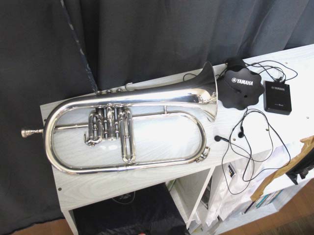img10.jpg