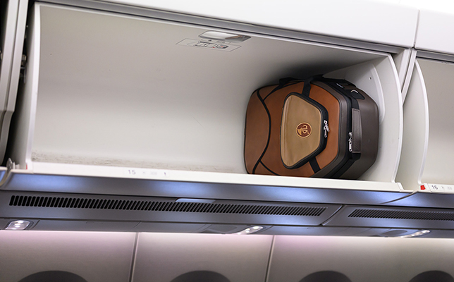 基本的に、上の棚への収納は自身で行う。楽器ケース：MBホルンケース MB5stHハイコンパクト（H520 W360 D250／3辺計1,130mm）