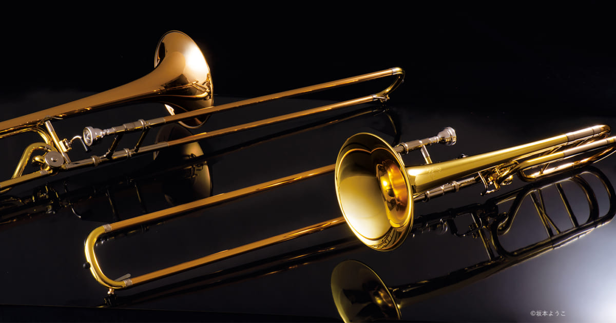存在感がありながら他の楽器となじむシンフォニックなサウンドが光る