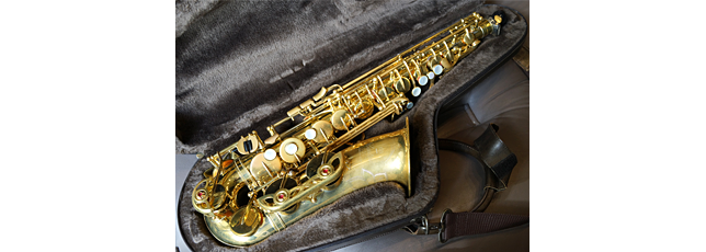 パイドパイパー・ダイアリー