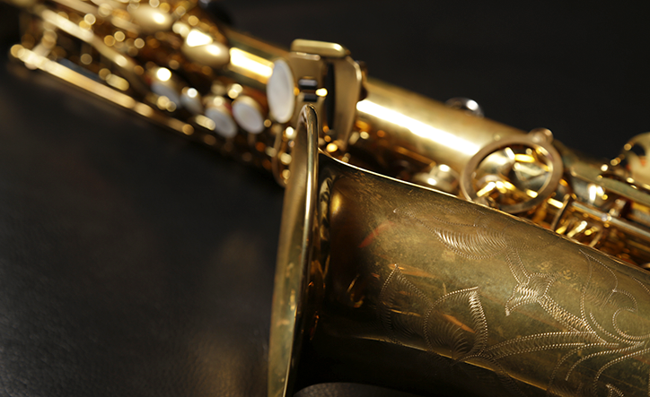 パイドパイパー・ダイアリー