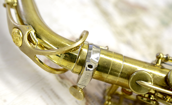 パイドパイパー・ダイアリー