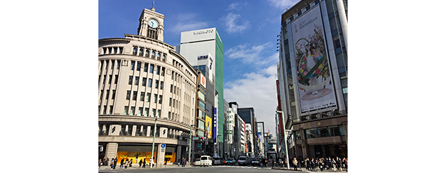 パイドパイパー・ダイアリー