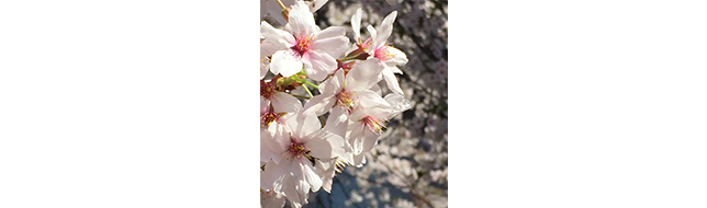 山口正介さん　Web音遊人