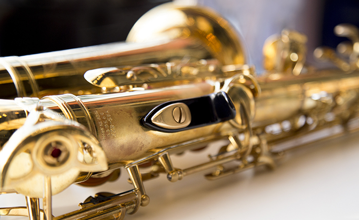 パイドパイパー・ダイアリー