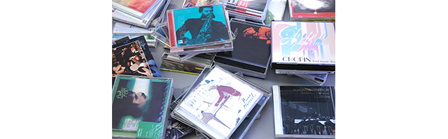 パイドパイパー・ダイアリー