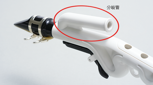 Venova(ヴェノーヴァ)