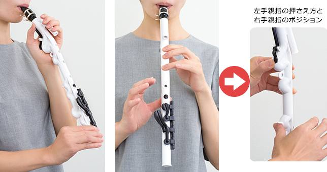 Venova(ヴェノーヴァ)