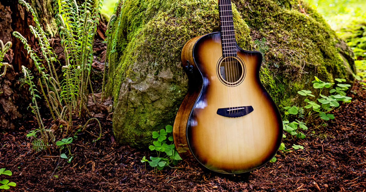 ブリードラブ エレクトリックアコースティックギター「The Organic Pro Collection」