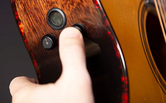 ブリードラブ エレクトリックアコースティックギター「The Organic Pro Collection」