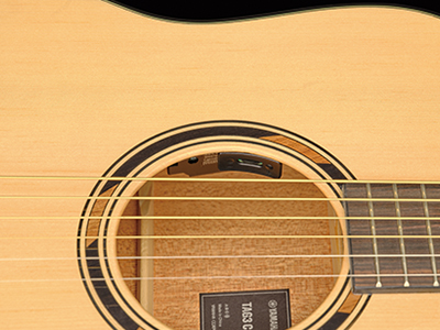 トランスアコースティックギター「TAG3 C」